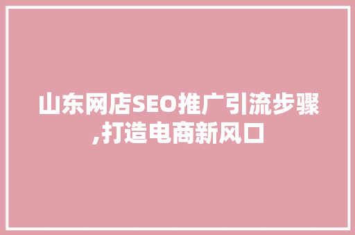 山东网店SEO推广引流步骤,打造电商新风口