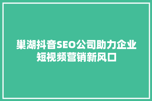 巢湖抖音SEO公司助力企业短视频营销新风口