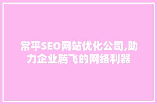 常平SEO网站优化公司,助力企业腾飞的网络利器