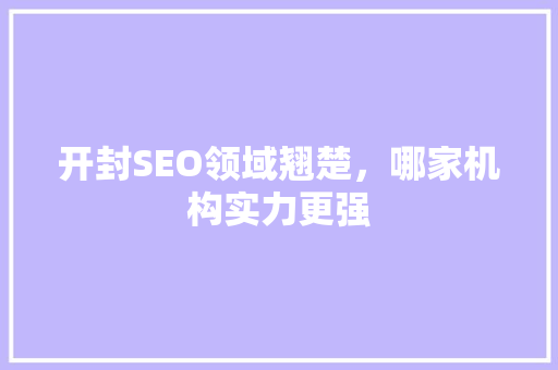开封SEO领域翘楚，哪家机构实力更强