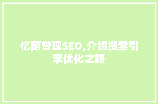 忆陌曾现SEO,介绍搜索引擎优化之路