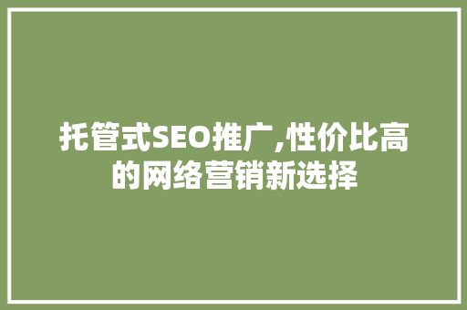 托管式SEO推广,性价比高的网络营销新选择
