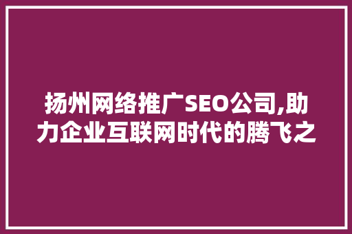 扬州网络推广SEO公司,助力企业互联网时代的腾飞之路