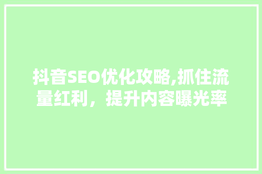 抖音SEO优化攻略,抓住流量红利，提升内容曝光率 360搜优化