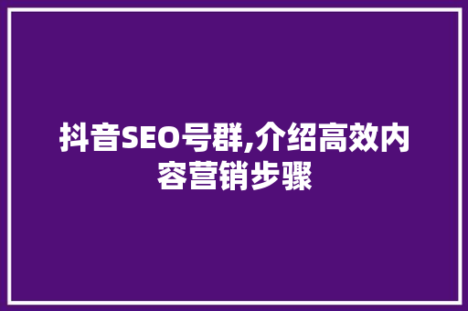 抖音SEO号群,介绍高效内容营销步骤