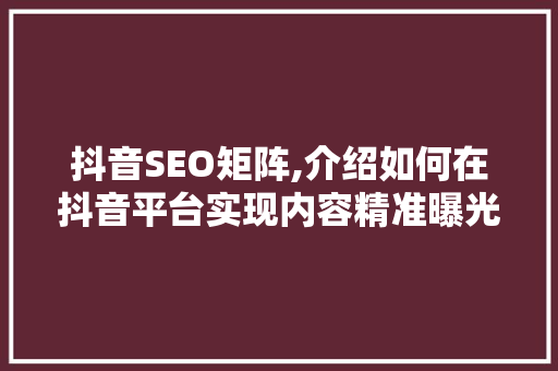 抖音SEO矩阵,介绍如何在抖音平台实现内容精准曝光