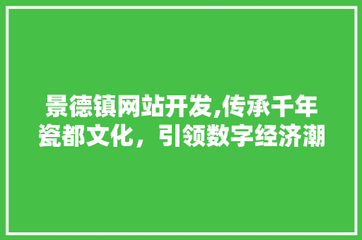 景德镇网站开发,传承千年瓷都文化，引领数字经济潮流 景德镇网站开发,传承千年瓷都文化，引领数字经济潮流 seo技术