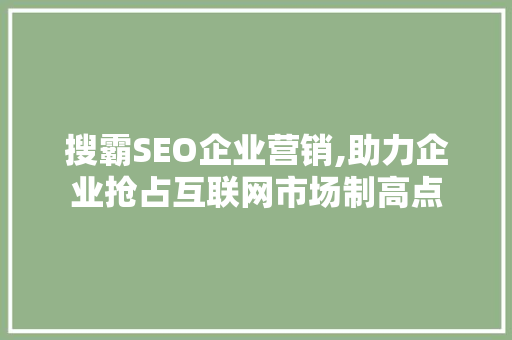 搜霸SEO企业营销,助力企业抢占互联网市场制高点