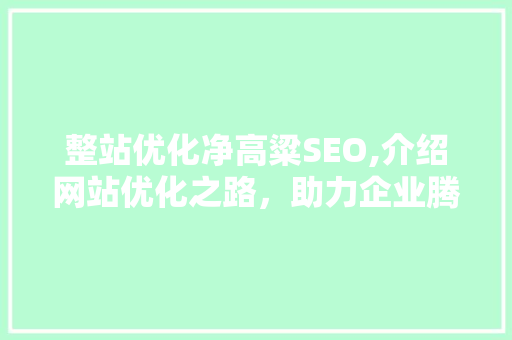整站优化净高粱SEO,介绍网站优化之路，助力企业腾飞