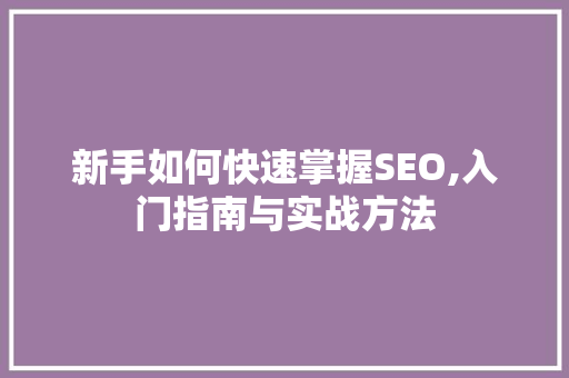 新手如何快速掌握SEO,入门指南与实战方法 seo技术