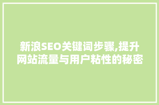 新浪SEO关键词步骤,提升网站流量与用户粘性的秘密武器