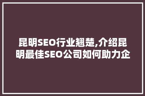 昆明SEO行业翘楚,介绍昆明最佳SEO公司如何助力企业腾飞