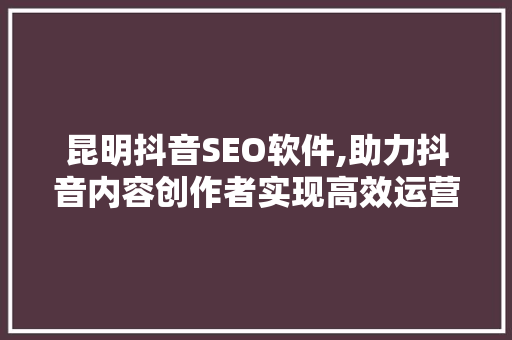 昆明抖音SEO软件,助力抖音内容创作者实现高效运营