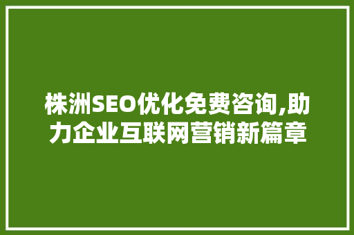 株洲SEO优化免费咨询,助力企业互联网营销新篇章