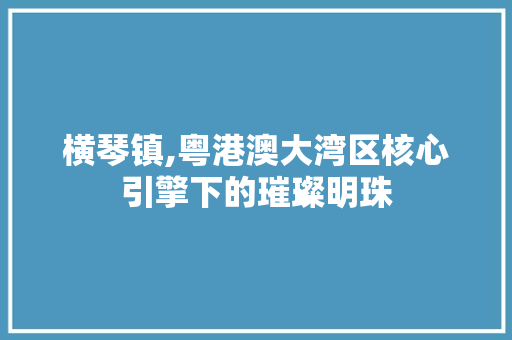 横琴镇,粤港澳大湾区核心引擎下的璀璨明珠