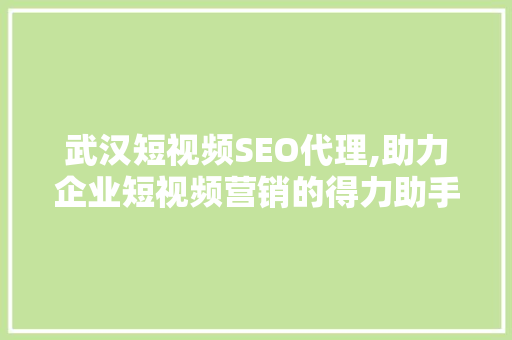 武汉短视频SEO代理,助力企业短视频营销的得力助手