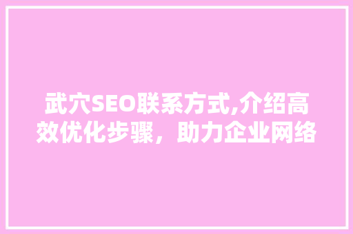 武穴SEO联系方式,介绍高效优化步骤，助力企业网络营销新篇章