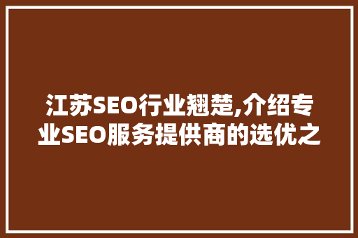 江苏SEO行业翘楚,介绍专业SEO服务提供商的选优之路