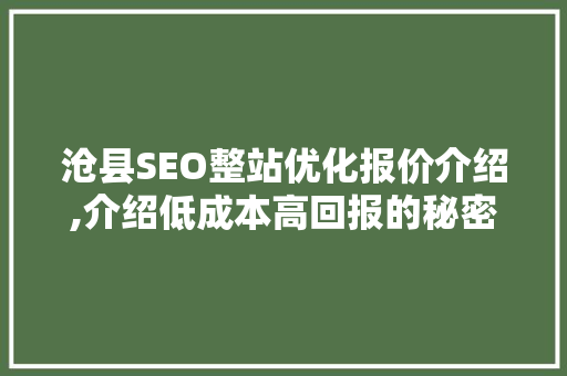 沧县SEO整站优化报价介绍,介绍低成本高回报的秘密武器 百度算法