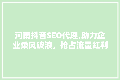 河南抖音SEO代理,助力企业乘风破浪，抢占流量红利 搜狗优化