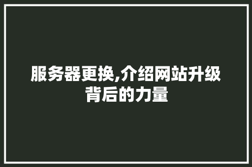 服务器更换,介绍网站升级背后的力量