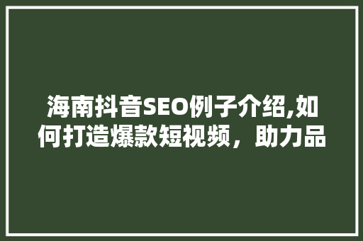 海南抖音SEO例子介绍,如何打造爆款短视频，助力品牌崛起