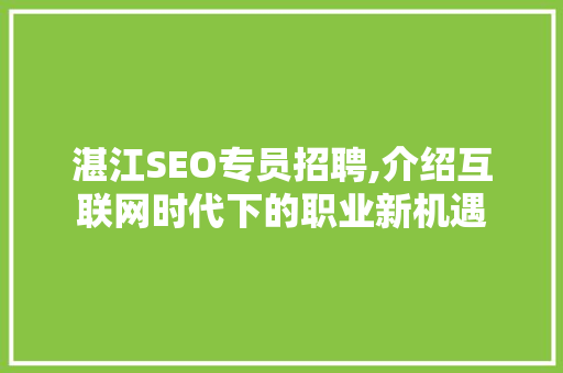 湛江SEO专员招聘,介绍互联网时代下的职业新机遇