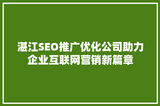 湛江SEO推广优化公司助力企业互联网营销新篇章
