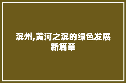 滨州,黄河之滨的绿色发展新篇章