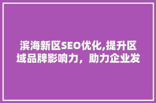 滨海新区SEO优化,提升区域品牌影响力，助力企业发展