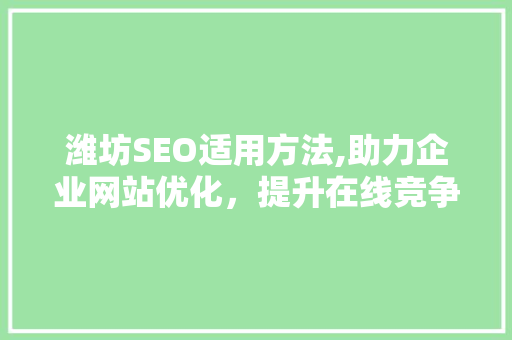 潍坊SEO适用方法,助力企业网站优化，提升在线竞争力 360搜优化