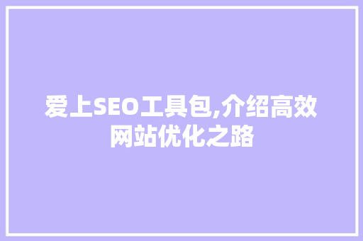 爱上SEO工具包,介绍高效网站优化之路