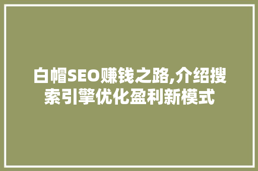白帽SEO赚钱之路,介绍搜索引擎优化盈利新模式