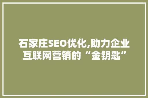 石家庄SEO优化,助力企业互联网营销的“金钥匙”