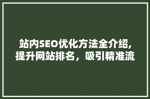 站内SEO优化方法全介绍,提升网站排名，吸引精准流量 英文谷歌算法