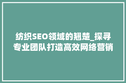 纺织SEO领域的翘楚_探寻专业团队打造高效网络营销之路