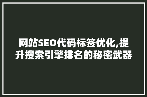网站SEO代码标签优化,提升搜索引擎排名的秘密武器