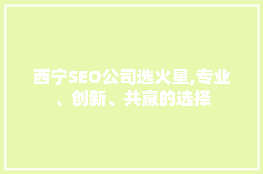 西宁SEO公司选火星,专业、创新、共赢的选择 头条优化