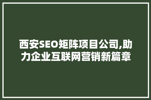 西安SEO矩阵项目公司,助力企业互联网营销新篇章 网站开发