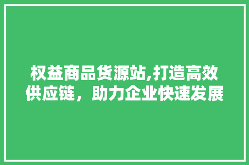 权益商品货源站,打造高效供应链，助力企业快速发展 权益商品货源站,打造高效供应链，助力企业快速发展 seo技术