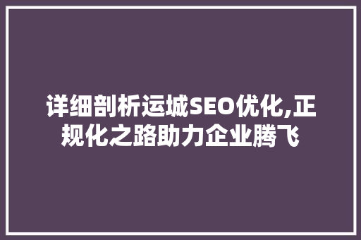 详细剖析运城SEO优化,正规化之路助力企业腾飞