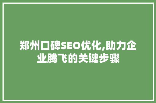 郑州口碑SEO优化,助力企业腾飞的关键步骤 网站开发