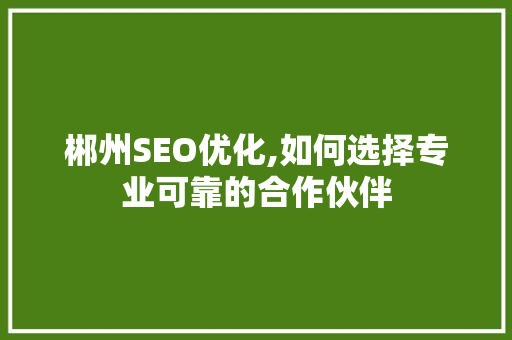 郴州SEO优化,如何选择专业可靠的合作伙伴