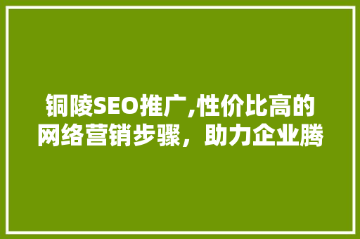 铜陵SEO推广,性价比高的网络营销步骤，助力企业腾飞