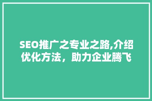 SEO推广之专业之路,介绍优化方法，助力企业腾飞 seo技术