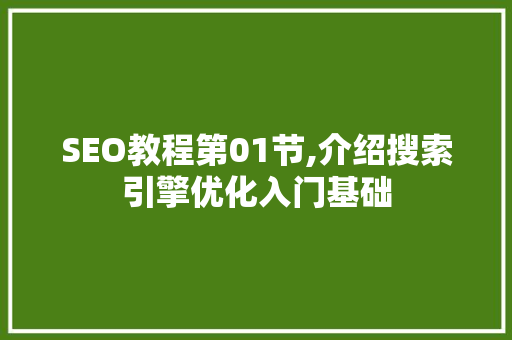 SEO教程第01节,介绍搜索引擎优化入门基础 小程序开发