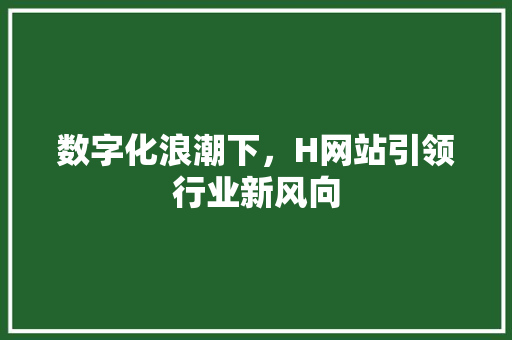 数字化浪潮下，H网站引领行业新风向 数字化浪潮下，H网站引领行业新风向 网站优化