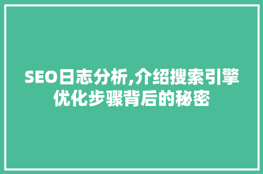 SEO日志分析,介绍搜索引擎优化步骤背后的秘密