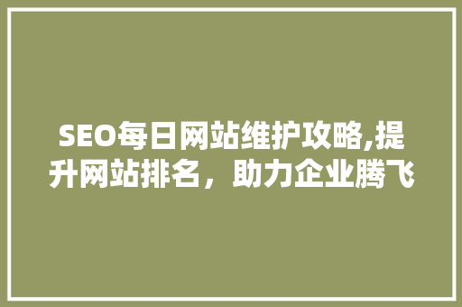 SEO每日网站维护攻略,提升网站排名，助力企业腾飞