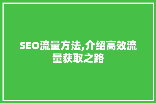 SEO流量方法,介绍高效流量获取之路